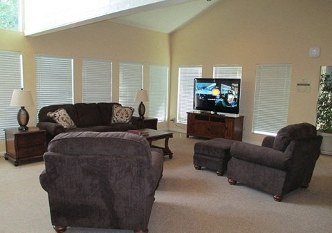 a living room with couches and chairs and a television