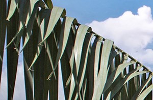 Canterbury Apartments Apartments In Myrtle Beach Sc