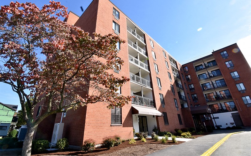 a brick building with a tree in front of it