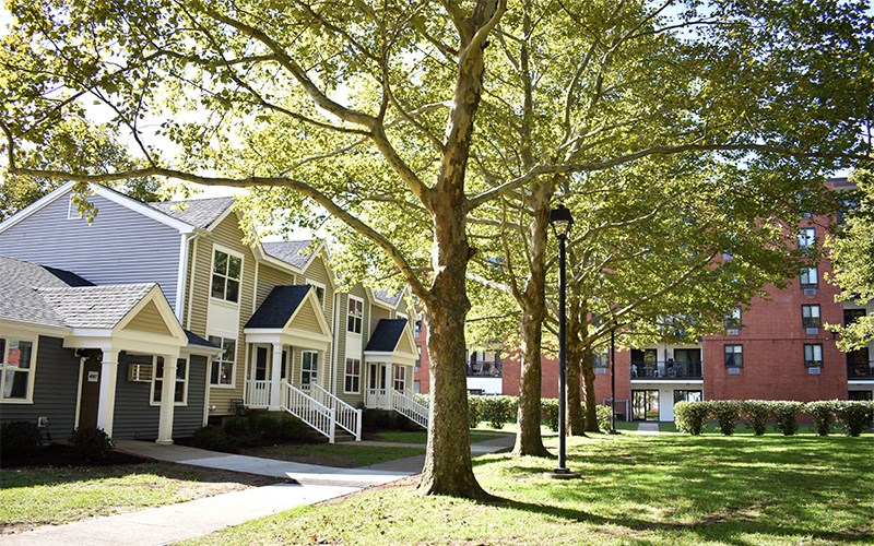 a row of houses with trees in front of them