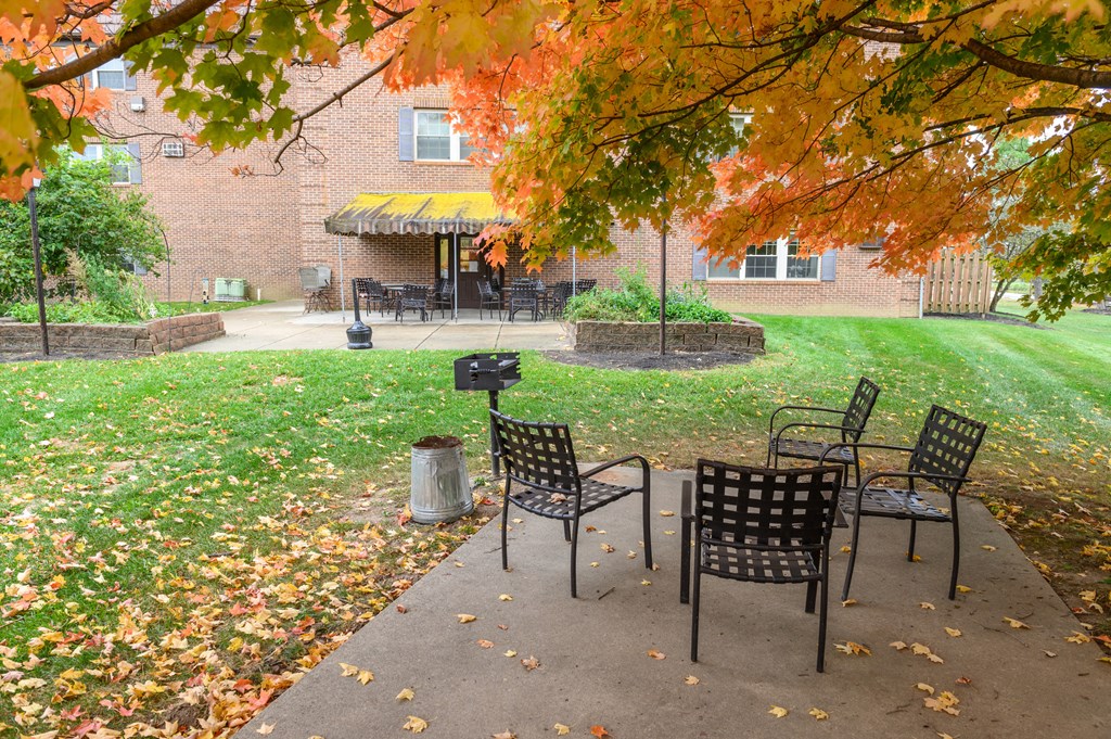 a patio with four chairs and a table under a tree