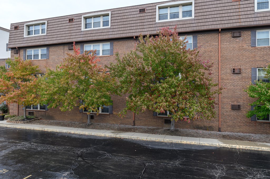 the side of a brick building with two trees in front of it