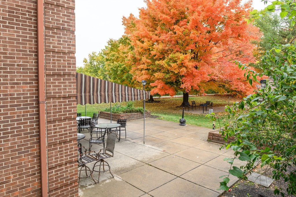 a patio with tables and chairs in front of a tree
