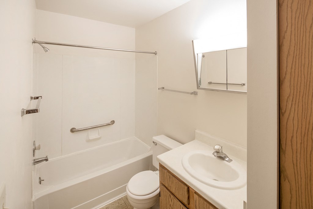 a bathroom with a sink and a toilet and a shower