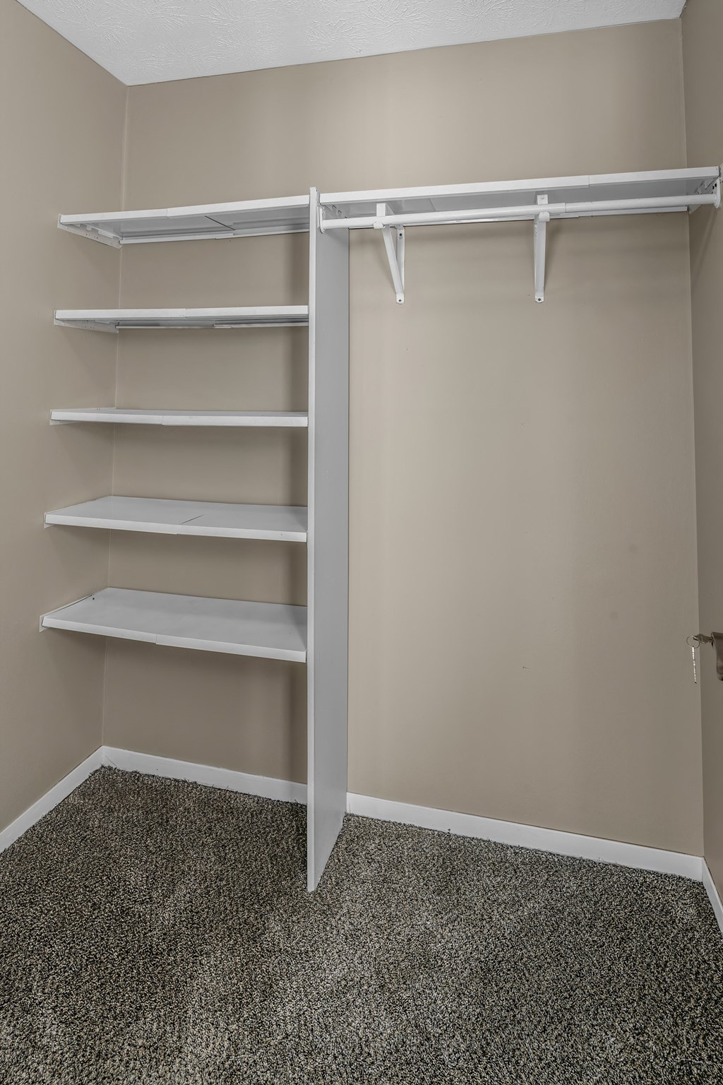 an empty closet in an empty room with shelves