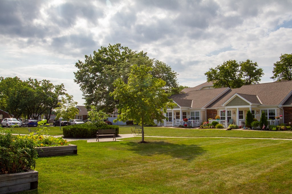 a park with a tree in front of a house