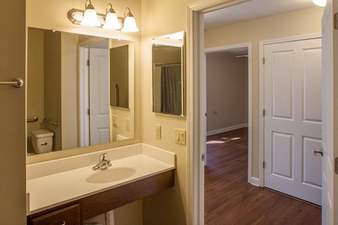a bathroom with a sink and a mirror and a hallway with a door