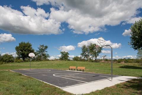a basketball court in a park on a cloudy day
