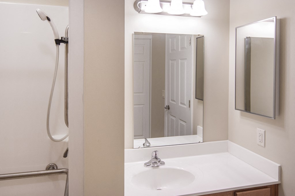 a bathroom with a sink and a mirror and a shower