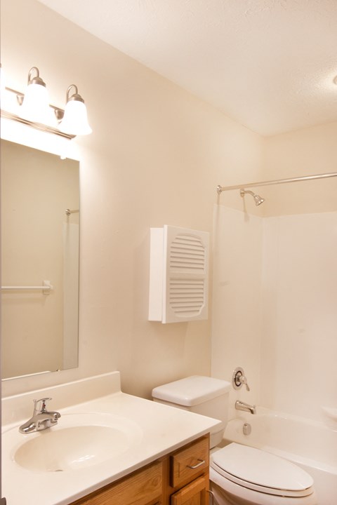 a bathroom with a sink toilet and shower and a mirror