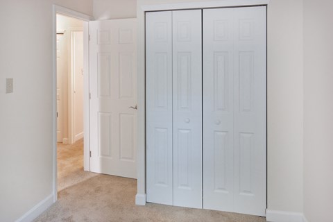 a white closet with two doors and a carpeted floor