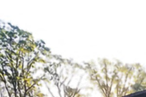 Park Woods Apartments 924 Shonat St Muskegon Mi Rentcafe