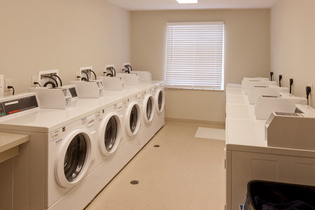 a washer and dryer room with a row of washing machines