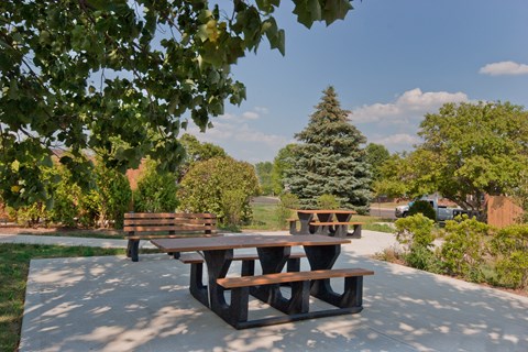 a picnic table and benches in a park