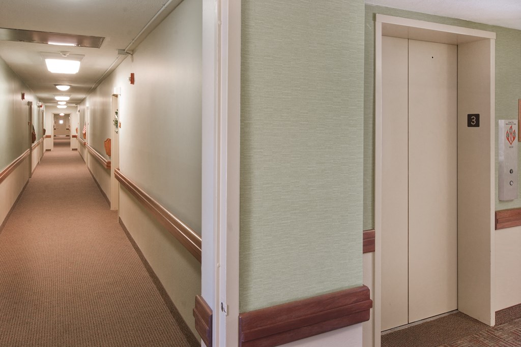 a long hallway with doors and walls and a carpeted floor