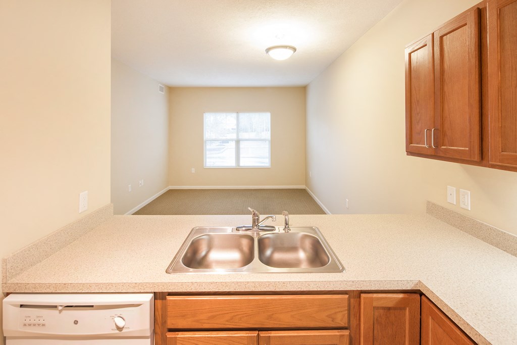a kitchen with a sink and wooden cabinets