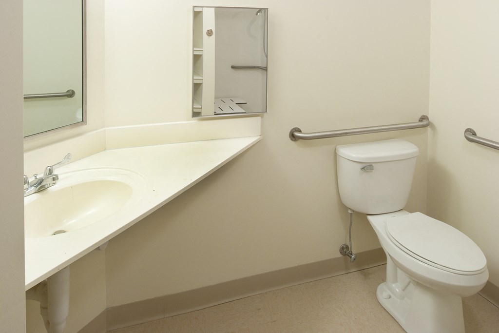 a bathroom with a toilet and a sink and a mirror