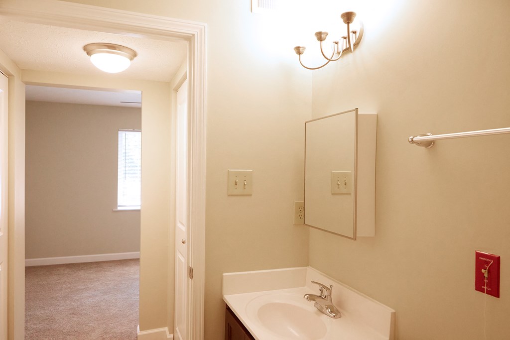 a bathroom with a sink and a mirror and a closet