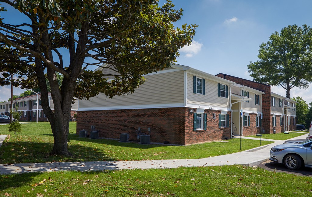 a row of houses on a sidewalk with a tree