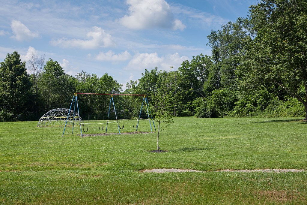 a swing set in the middle of a field