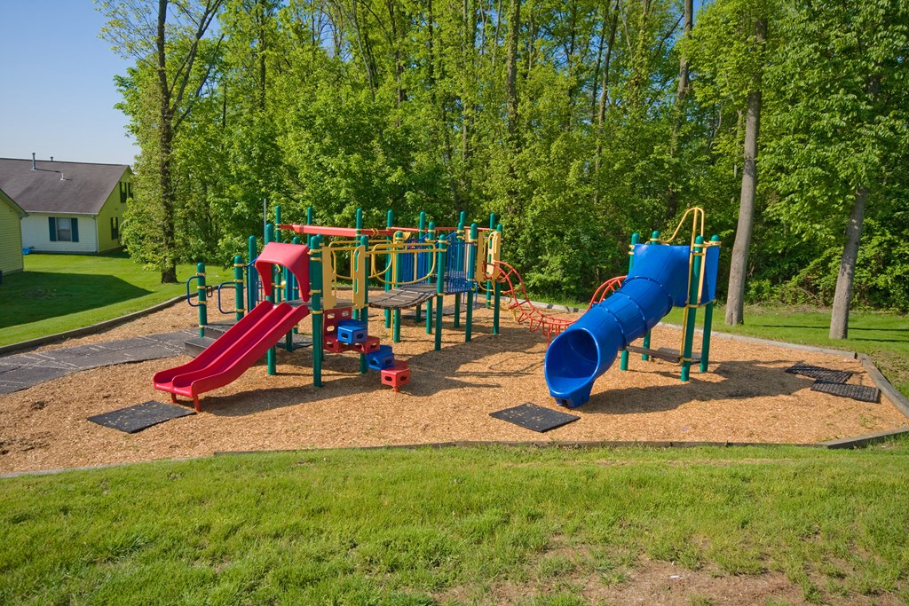 a playground with a blue slide and a red slide