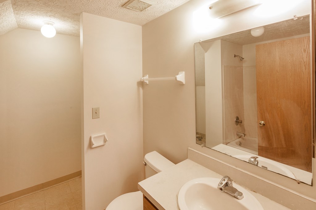 a bathroom with a sink and a mirror and a shower