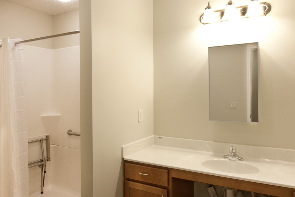 a bathroom with a sink and a mirror and a shower
