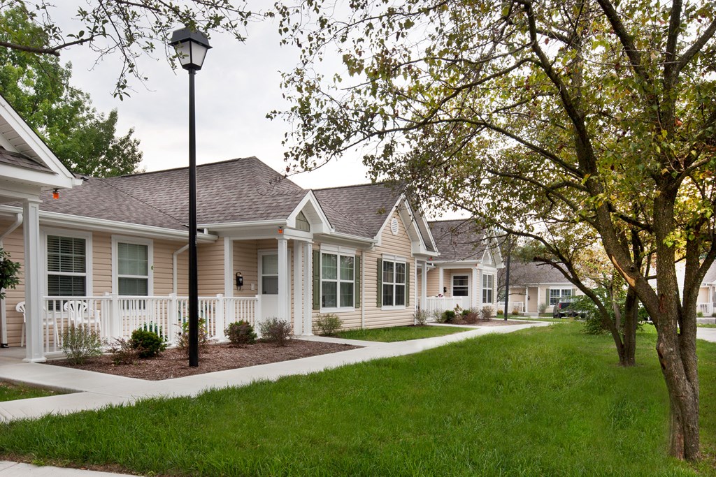 a row of white houses with trees and a sidewalk