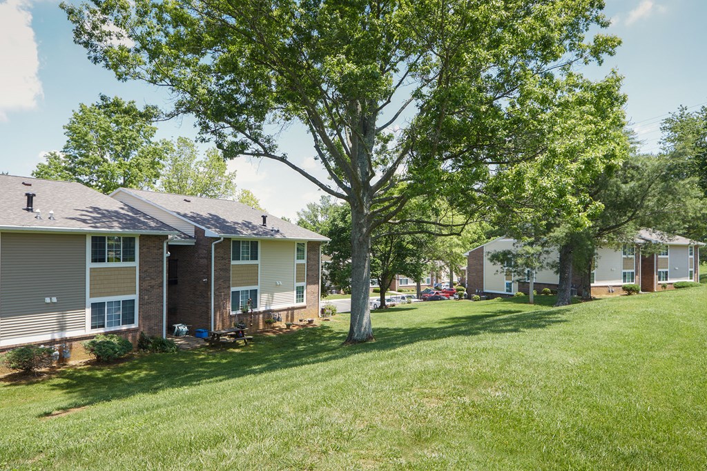 a row of houses with trees in the grass