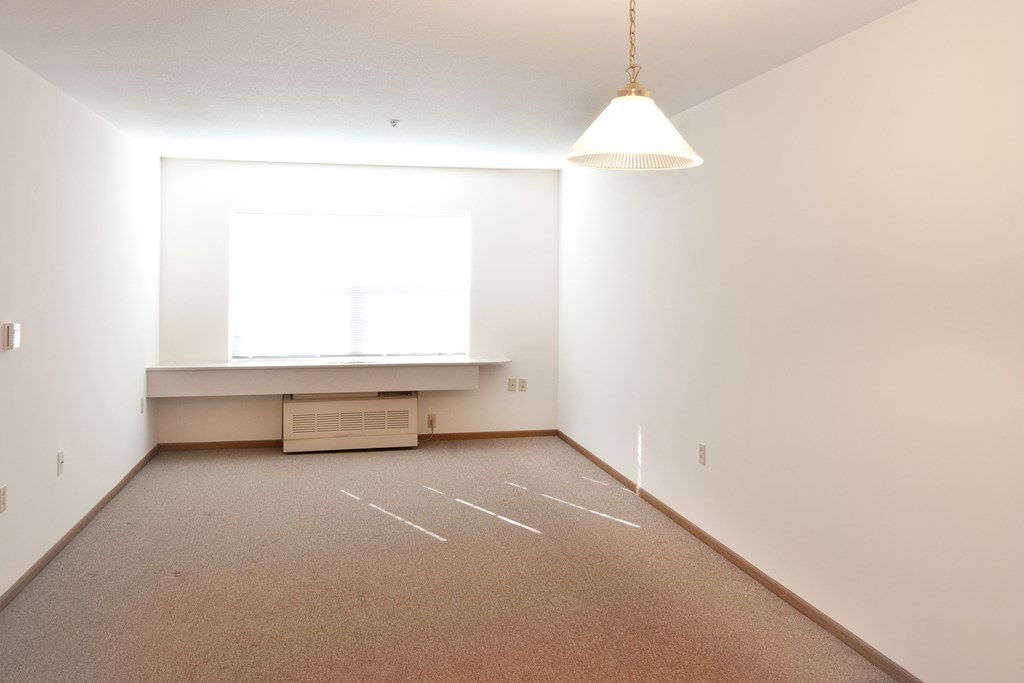 a room with white walls and a large window and a carpet