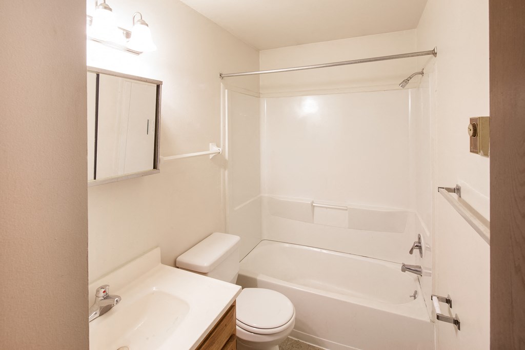 a bathroom with a tub sink and toilet and a mirror