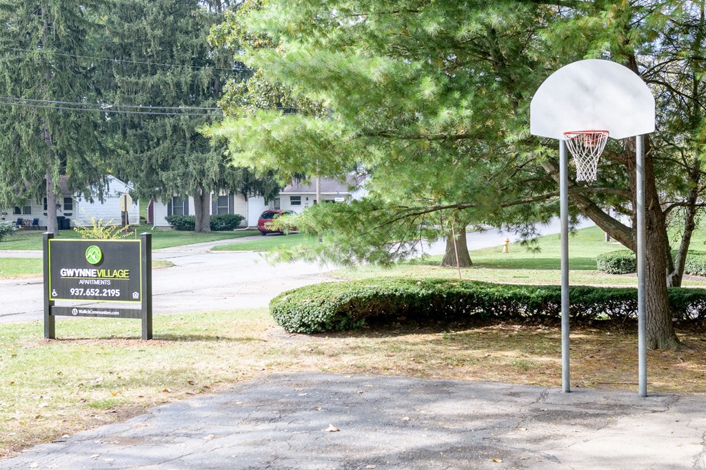 a basketball hoop in a park next to a street