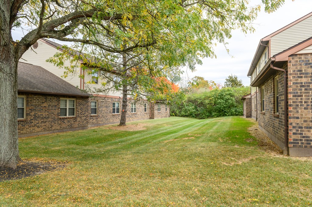 a yard in front of a brick house with a tree