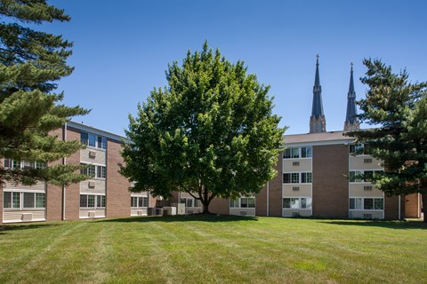 a tree in front of a building on a lawn