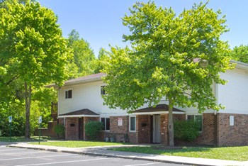 1110 Olmstead Ave 2-3 Beds Apartment, Affordable for Rent - Photo Gallery 4