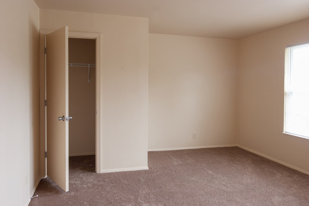 an empty bedroom with a closet and a carpeted floor