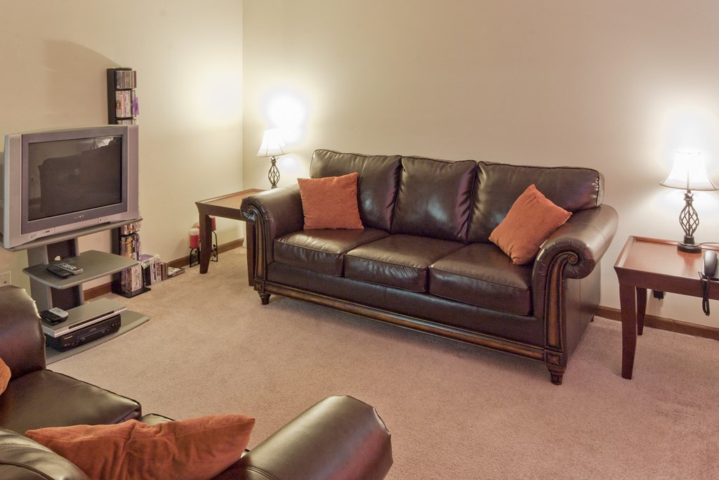 a living room with a leather couch and a television