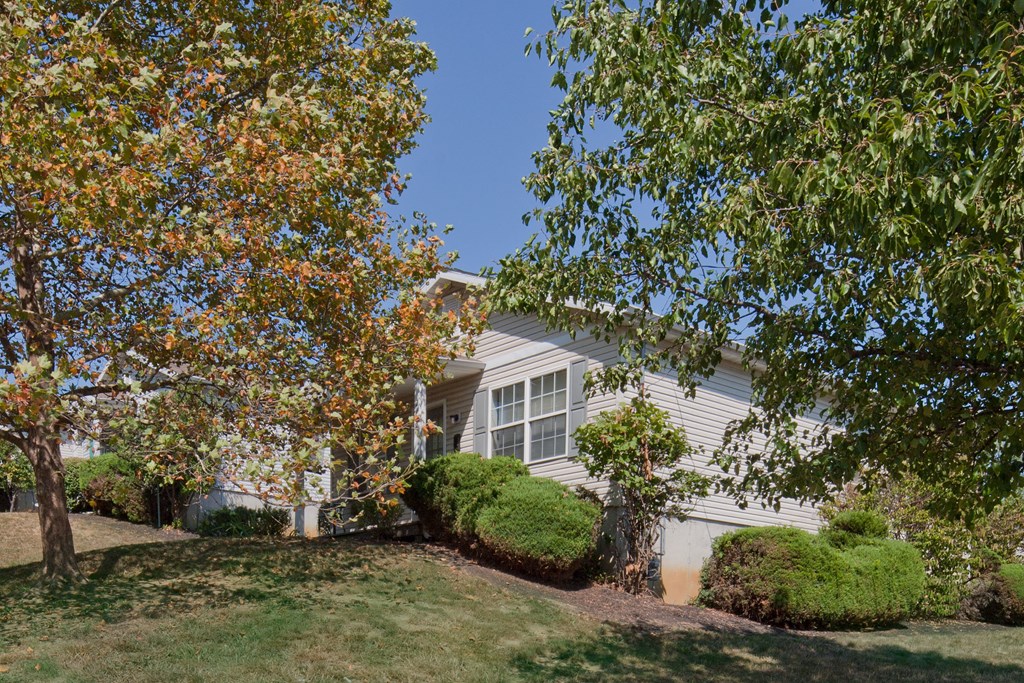 a white house with a lawn and trees in front of it