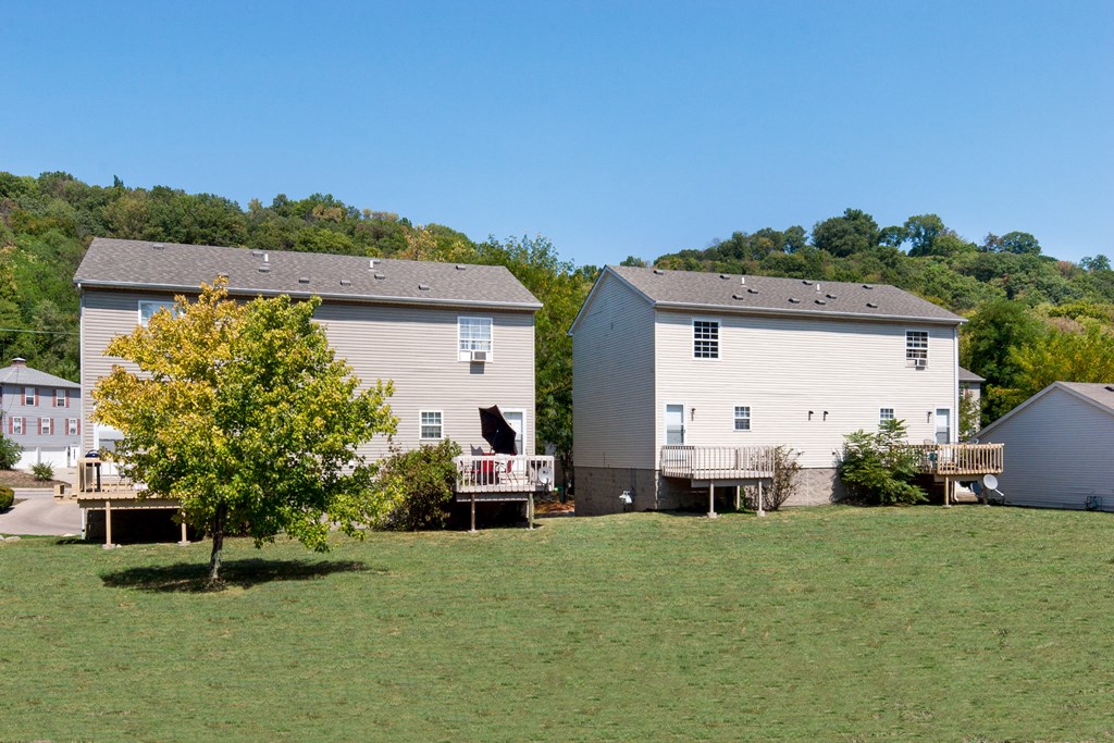 two houses on a hill with a tree in front of them