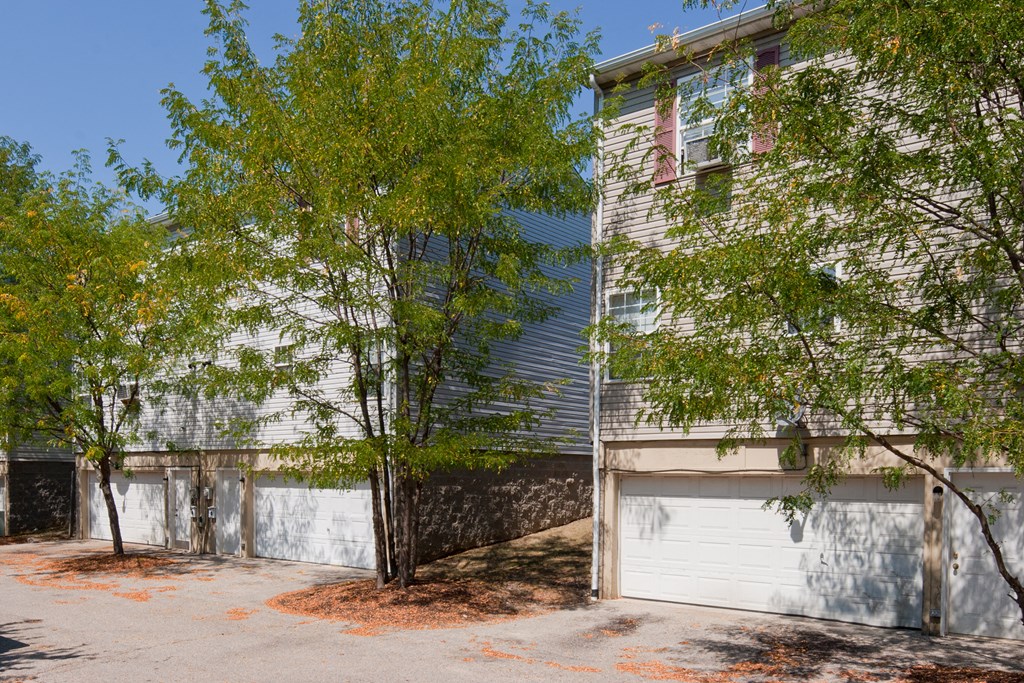 the front of the house with a garage door and a tree