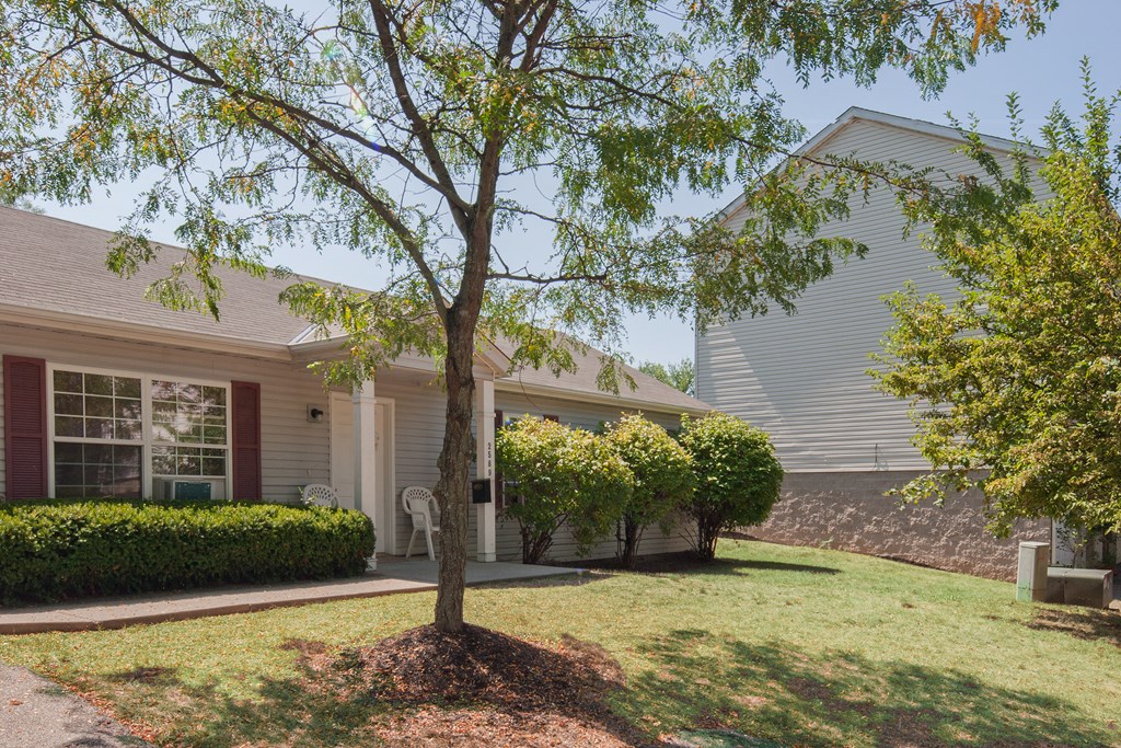 the front of a house with a yard and a tree