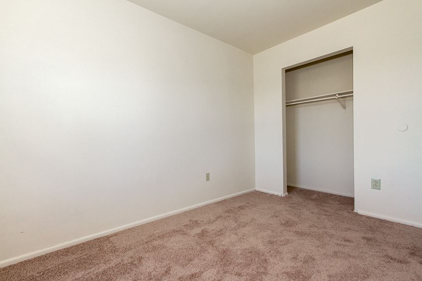 an empty room with carpet and a closet door