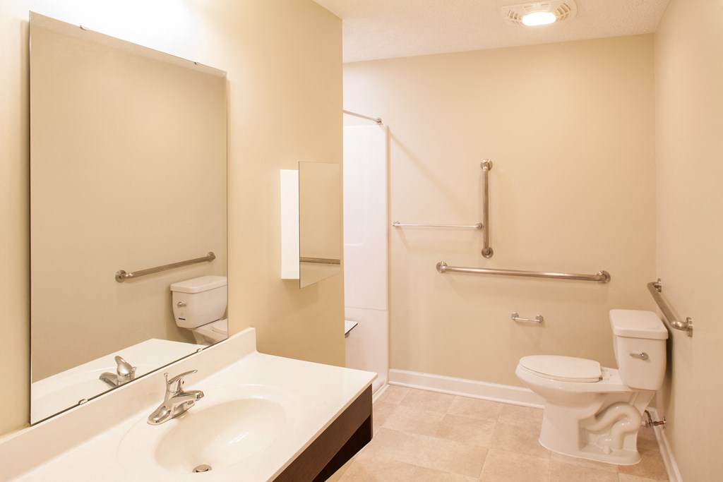 a bathroom with a sink and a toilet and a mirror