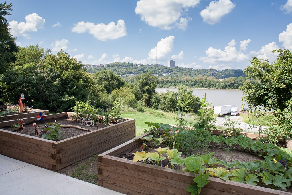 a backyard garden with a river in the background