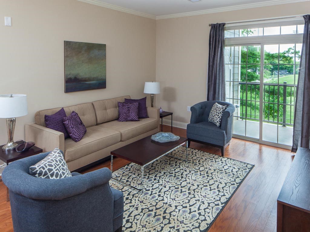 a living room with a couch and chairs and a rug