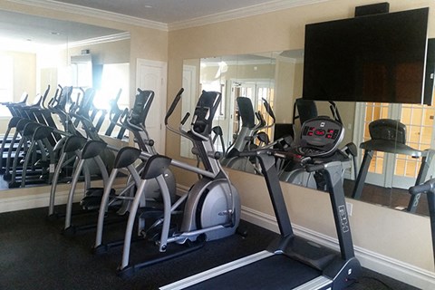 the gym is equipped with cardio equipment and a large mirror