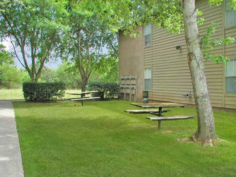 a group of picnic tables in front of a building