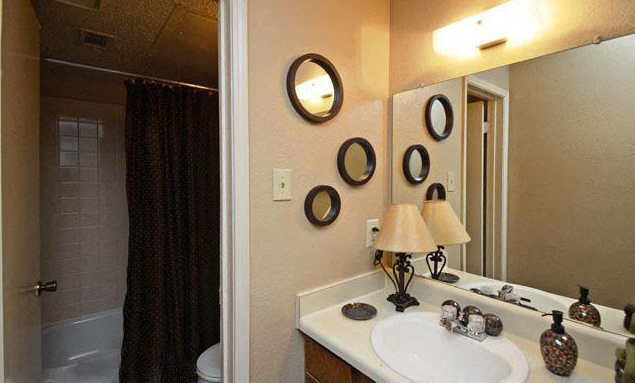 a bathroom with a sink and a mirror and a shower