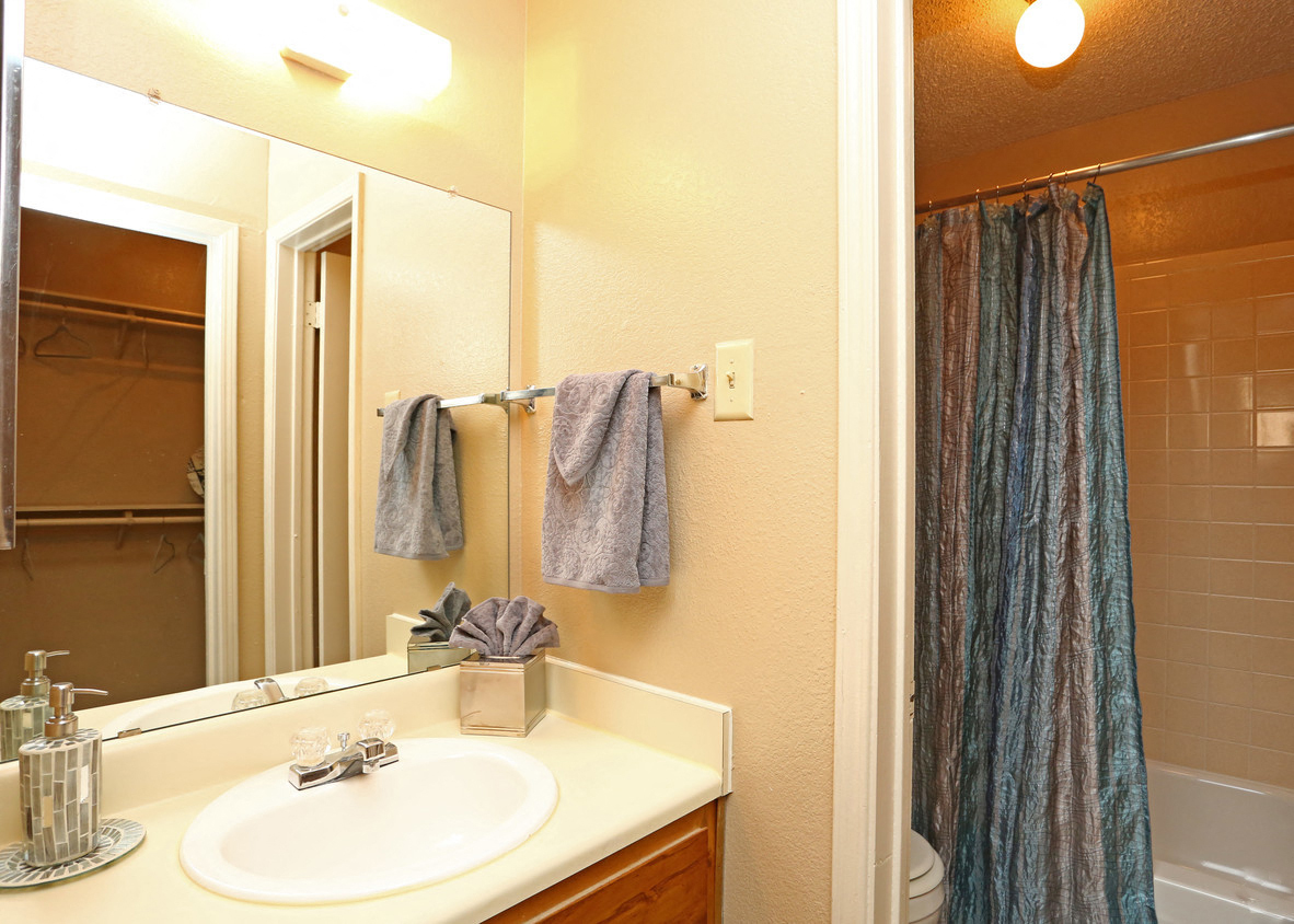 a bathroom with a sink and a mirror and a shower