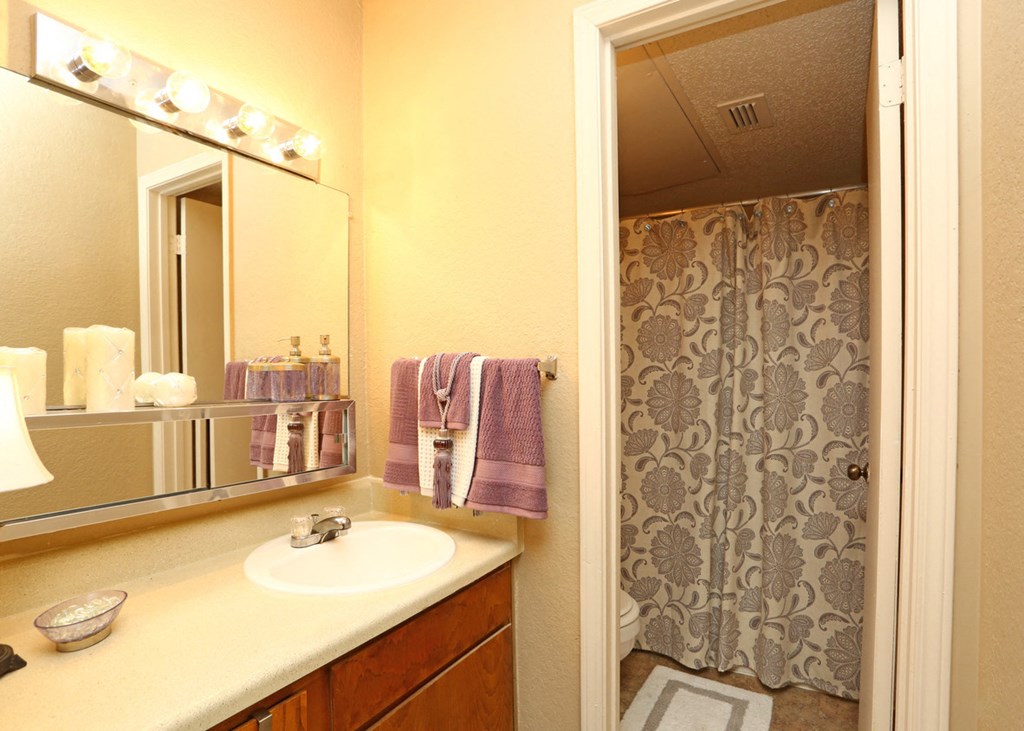 a bathroom with a sink and a mirror and a shower
